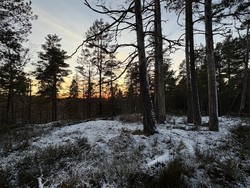 Bastaufjell Vest