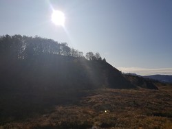 Botlanipene SØ