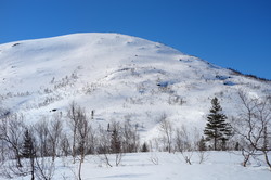 Jervskardklumpen