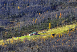 Rosendalstølen