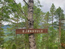 Bjørndulu