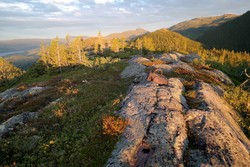 Sauflag Sørøst