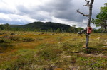 Grevåsen