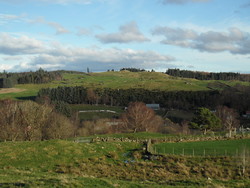 Bergevarden
