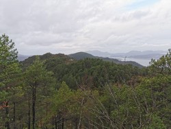 Høgehesjane øst