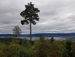 Sørumåsen utsiktspunkt