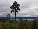 Sørumåsen utsiktspunkt