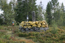 Bakklintrøysa