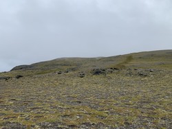 Høgfjellet