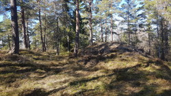 Gulliåsen