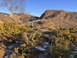 Bønaråsen