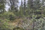 Tvengehovda