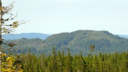 Storlia