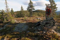 Nordvest for Grasingkollen