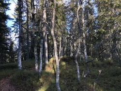 Pershusfjellet Nordligste