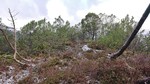 Stuhaugen