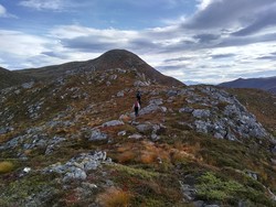 Litledalshornet