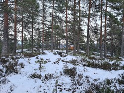 Plassåsen