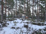 Plassåsen