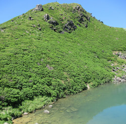 Tengugajo