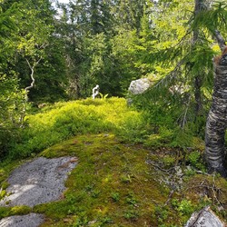 Fjellsjøkampen S1