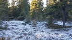 Sjogehaugen