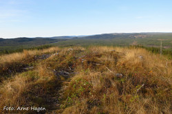 Ulvåsen