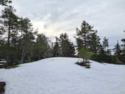 Brentåsen