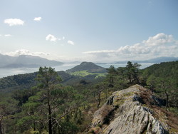 Snauegga