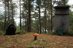 Bogsnesåsen