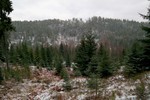 Bufjell