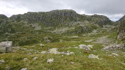 Vardanuten