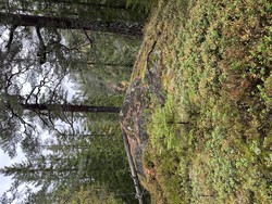 Andtjernåsen