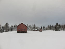 Oksbåsen