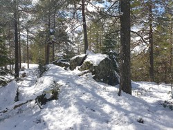 Hauktjernåsen