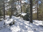 Hauktjernåsen