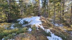 Dalsberget