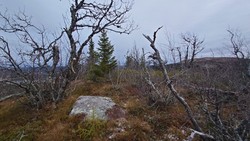 Mefarningshovda