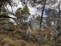 Sagefjell