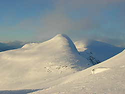 Hestefjellsnibba
