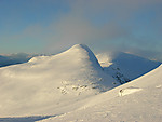 Hestefjellsnibba