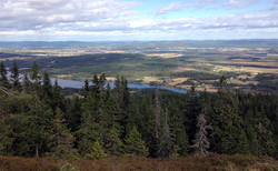 Fjøråsen trig.punkt