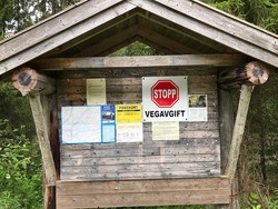Nesådalsvegen