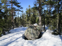 Sæterhaugen