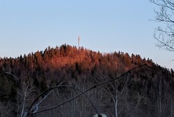 Husebykollen