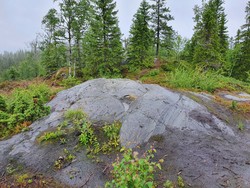 Våttan