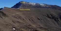 Pico de Loma Pelada