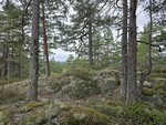 Tretjennsåsen