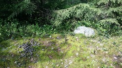 Tømmeråsen