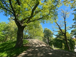 Bjølsenberget